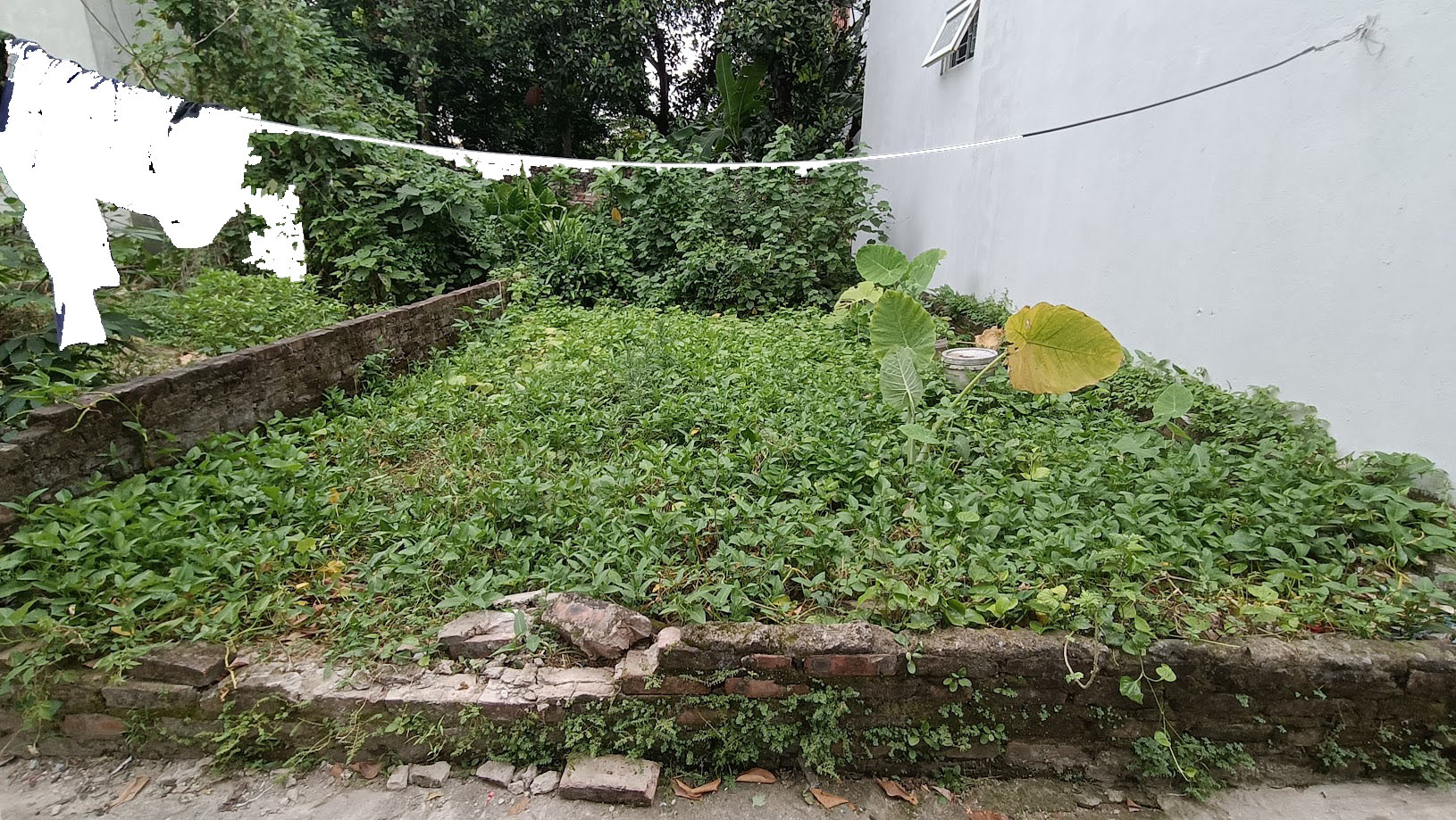 BÁN ĐẤT LIÊN NINH THANH TRÌ. 15M RA Ô TÔ ĐỖ NGÀY ĐÊM. 40M, HƠN 3 TỶ.