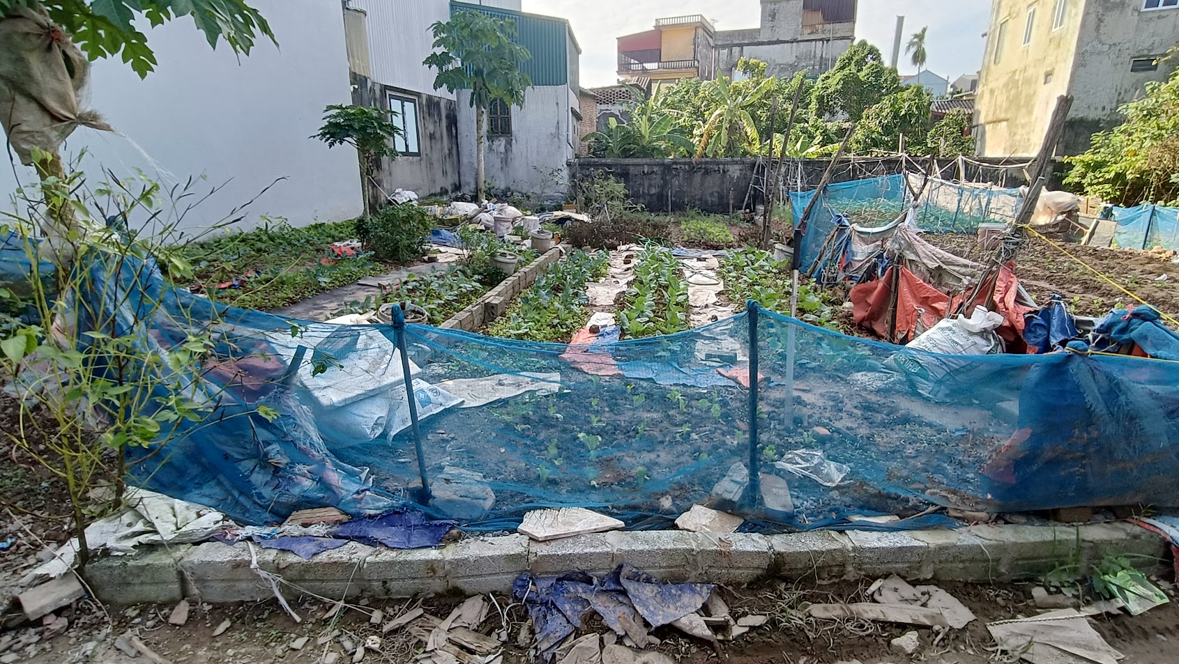 BÁN ĐẤT ĐÔNG MỸ THANH TRÌ. Ô TÔ NGỦ TRONG ĐẤT. DT 50M, NHỈNH 4 TỶ